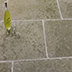 Rustic Green Limestone Flooring