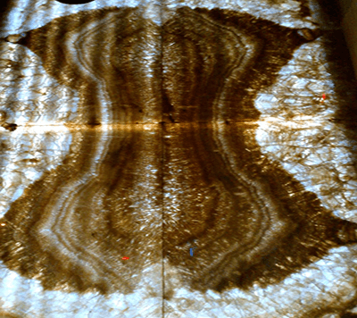 Brown Onyx Illuminated