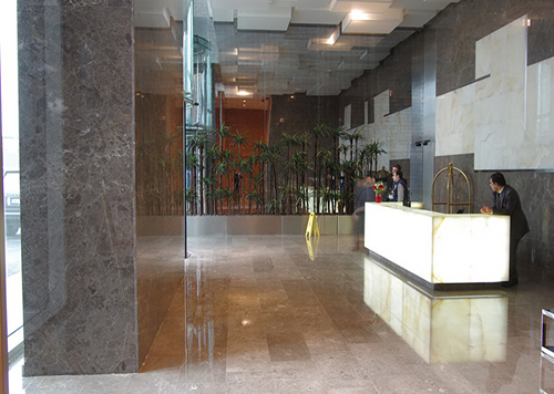 savana grey marble interior application