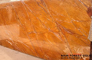 Hindistan Rain Forest Gold Granit